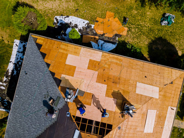 Best Storm Damage Roof Repair  in Dunnellon, FL